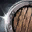 Shield
